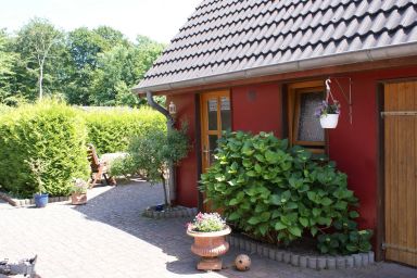 Dat hyggelige Ferienhus in Kappeln - Ferienhaus