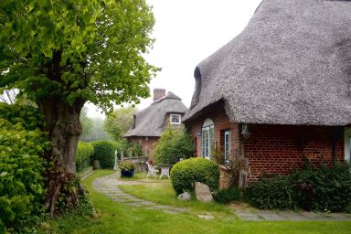 Reetdachkate Dörphof Schuby, Ostsee - Sommerwohnung