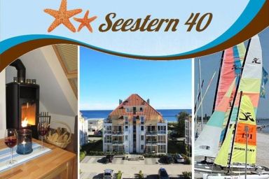Seestern 40