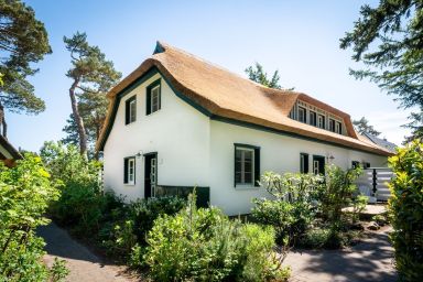 FeWo "Freiheit" im Strandhaus Düne 19