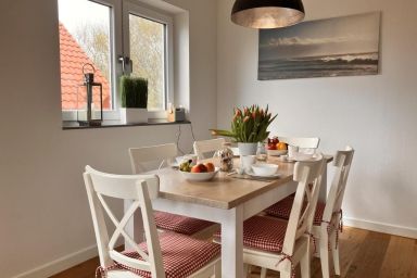 Sturmmöwe, Haus an den Salzwiesen, Baltrum