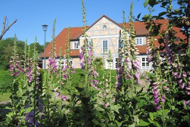 Gutshaus Alt Guthendorf Appartment Kuscheleck