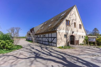 Pferdehof Königsstuhl - Fewo 5 Friese - Ferien auf dem Reiterhof - Wohnung Friese