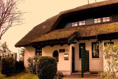 Haus Strandflieder