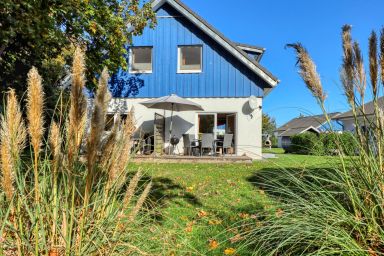 Strandläufer - Strandläufer .2