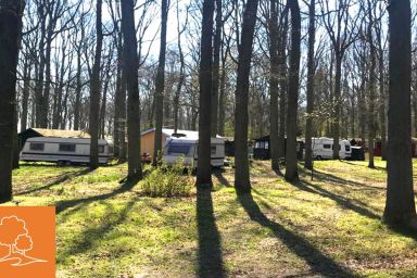 Ferienpark Bakenberg - Bungalowdorf Wald & Sand - Kat. 6 Stellplatz W1