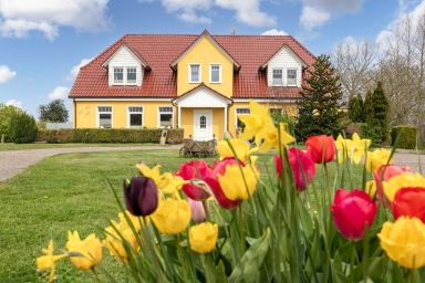 Ferienhof am Leuchtturm mit Meerblick OFC 04 - Kombi