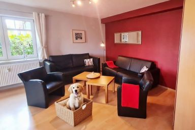 Ferienwohnung Villa Seestern 1