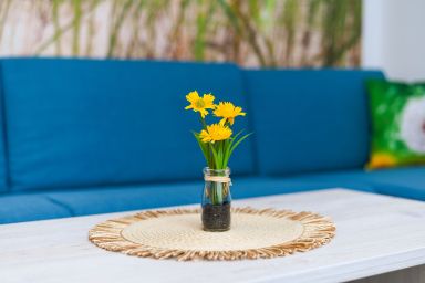 Ferienwohnungen im Haus Strandkorb - Ferienwohnung Strandkorb 7