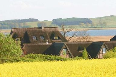 ,,Mönchgutperle - OR