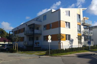 Strandläufer