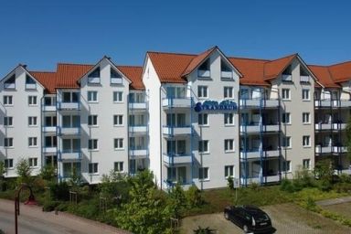 Strandruh