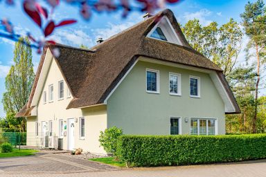Ferienhaus Seegras