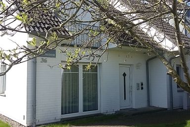 Darßer Weg 36a Whg. 8 "Strandaster" - Ferienwohnung in einem Appartmenthaus