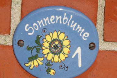 Hansenhof - Sonnenblume