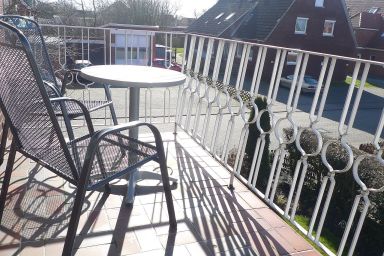 Mantelmöwe - Teelke .1