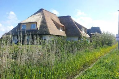 Haus Düwelswarft - Haus Düwelswarft Whg. Delphin