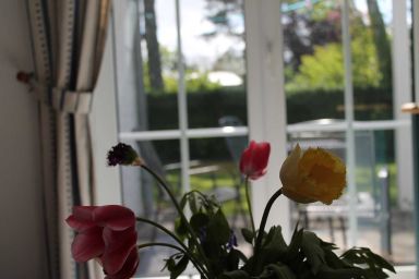 Haus Arkona - Nr. 2_2-Raum-Fewo  mit Terrasse für 2 P.+1Baby