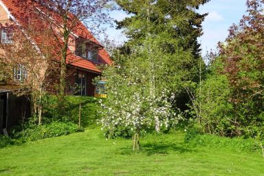Ferienwohnung Südterrasse - Südterrasse