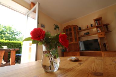 Ferienwohnungen SE-LF - Ferienwohnung Möwe