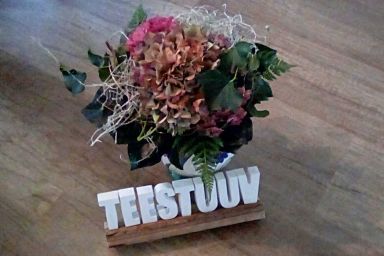 Ferienwohnung TEESTUUV, 55166 - Ferienwohnung TEESTUUV