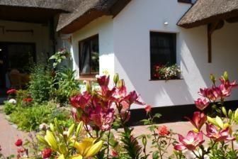 Morgensünn- Nette Wohnung in Althagen mit Terrasse