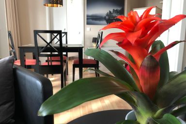 Selliner See Blick Appartement Dat Mitteltste 445