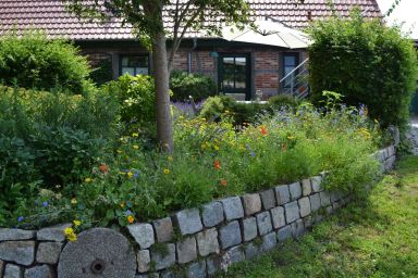 Ferienwohnung in der Natur mit Terrasse