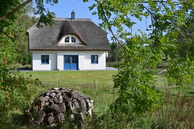 Ferienhaus mit Reetdach, großem Grundstück und Privatweg zum Hafen