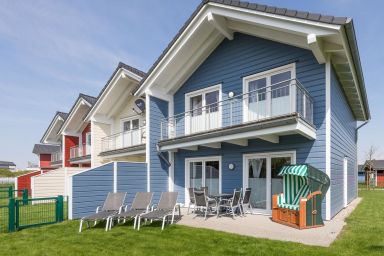 Silbermöwe - Trottellumme .1