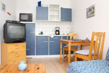 Zaunkönig