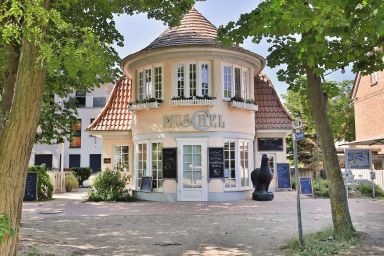 Muschel Whg. Schildkröte