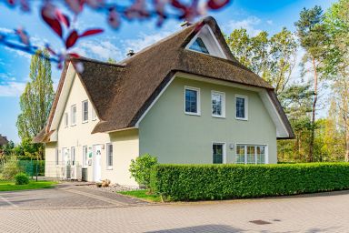 Seegras - Ferienhaus Seegras