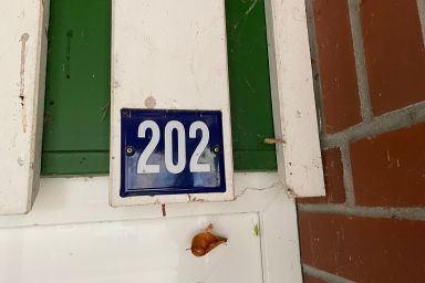 Seeblick Wohnung 202 EG mit Ostseeblick - Wohnung 202