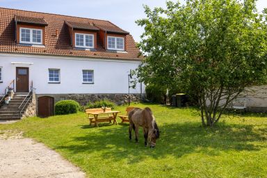 Ferienwohnung FLORI´S PONYHOF OFC 31 - Ferienwohnung FLORI´S PONYHOF