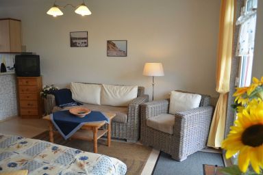 Pension Ritter - in ruhiger Lage von Groß Zicker - 1-Raumappartement  Nr. 02 mit Terrasse