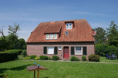 Apart Heringsmöwe