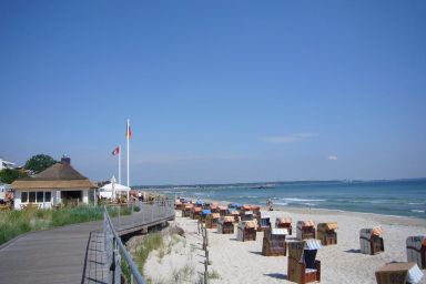 BER/705 - Witthus