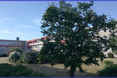Bonna&#039;s Ostsee Oase - Haus Baltic - Whg. 180 - Inkl. gratis WLAN und Saisonstrandkorb