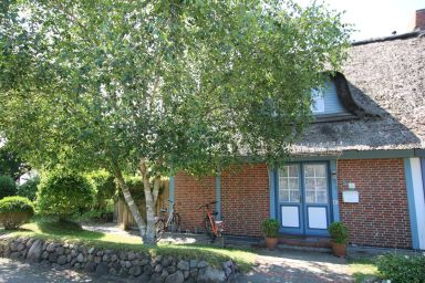 Ginsterweg 2 a, Whg. 1, Sandbank - Ferienwohnung mit 2- Zimmern auf ca. 56m²