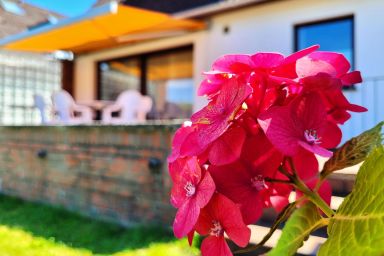 Ferienhaus mit Garten und idyllischer Ruhe - Strandoase für Gruppen - Ferienhaus mit Garten und idyllischer Ruhe