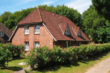 Godewind - Wohnung 1 - Ferienwohnung Godewind 1: Erdgeschoss mit Terrasse, WLAN & nur 200 m zum Strand