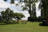 Garten. groÃer Garten