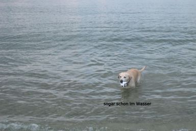 Julchen, Erholung in 45 Meter vom Strand mit Badesteg