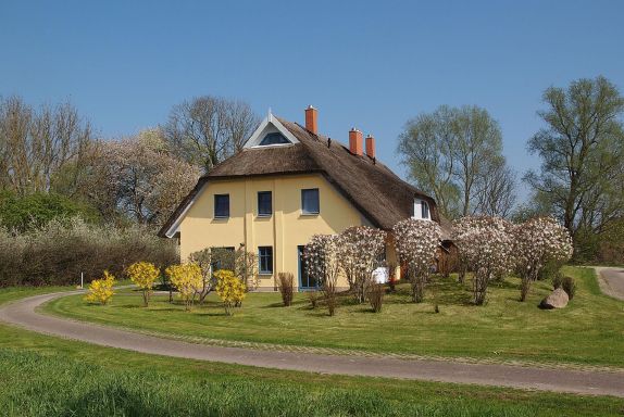 Westblick