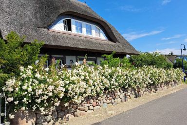 Ferienhaus mit Garten und Sauna