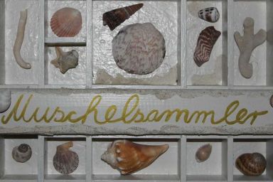 Immenhagen Ferienwohnungen - Ferienwohnung Nr. 06 Muschelsammler, OG, 39qm, 1 Schlafzimmer, max. 2 Personen