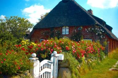 Wohnung in einem reetgedeckten Friesenhaus aus dem Jahr 1860 - Wohnung in einem reetgedeckten Friesenhaus aus dem Jahr 1860 .1