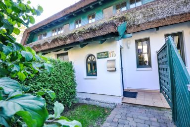 Strandflieder - Sanddorn .6