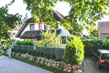 Strandflieder - Strandflieder .7